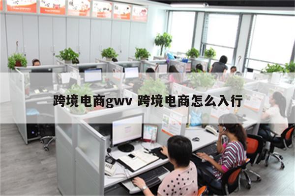 跨境电商gwv 跨境电商怎么入行