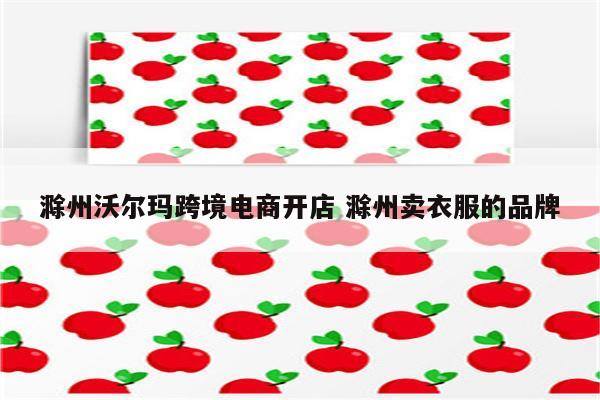 滁州沃尔玛跨境电商开店 滁州卖衣服的品牌