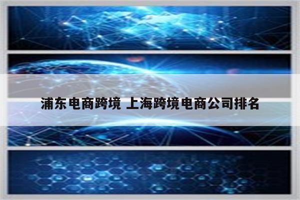 浦东电商跨境 上海跨境电商公司排名