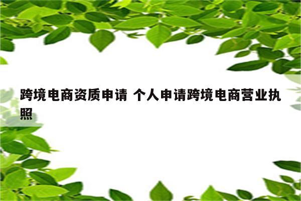 跨境电商资质申请 个人申请跨境电商营业执照