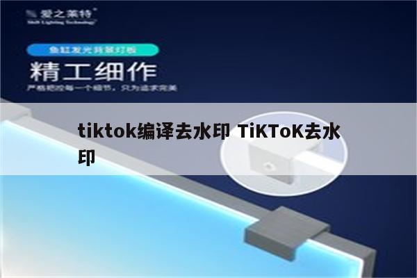 tiktok编译去水印 TiKToK去水印
