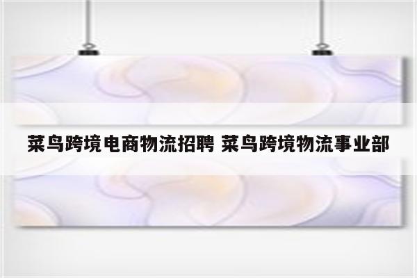 菜鸟跨境电商物流招聘 菜鸟跨境物流事业部