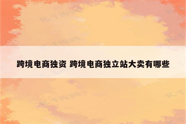 跨境电商独资 跨境电商独立站大卖有哪些
