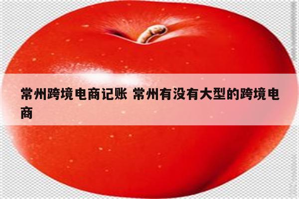 常州跨境电商记账 常州有没有大型的跨境电商