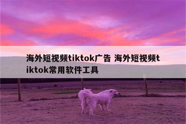 海外短视频tiktok广告 海外短视频tiktok常用软件工具