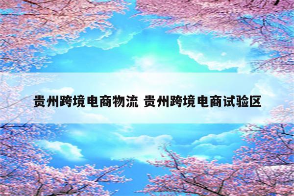 贵州跨境电商物流 贵州跨境电商试验区