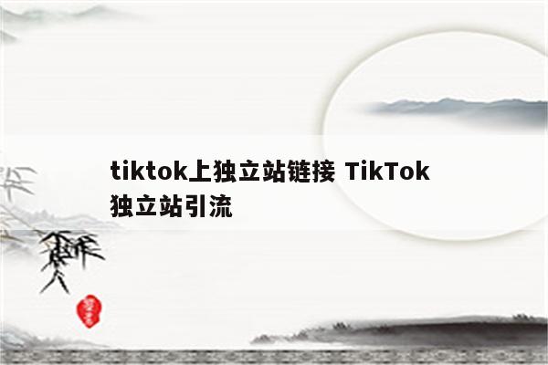 tiktok上独立站链接 TikTok 独立站引流