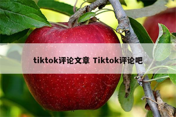 tiktok评论文章 Tiktok评论吧