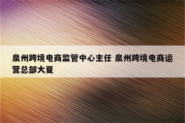 泉州跨境电商监管中心主任 泉州跨境电商运营总部大夏