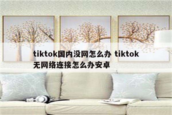 tiktok国内没网怎么办 tiktok无网络连接怎么办安卓