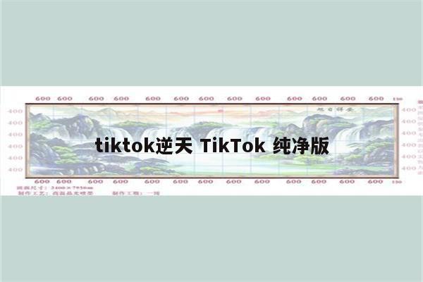 tiktok逆天 TikTok 纯净版