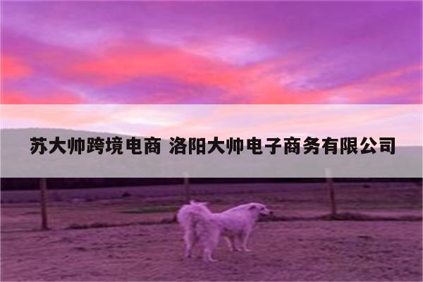 苏大帅跨境电商 洛阳大帅电子商务有限公司