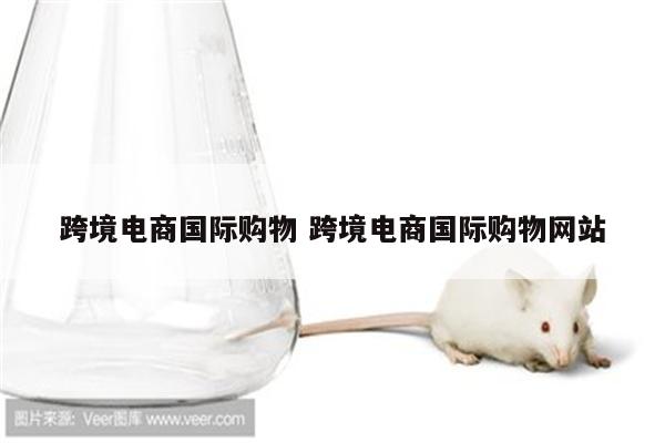 跨境电商国际购物 跨境电商国际购物网站