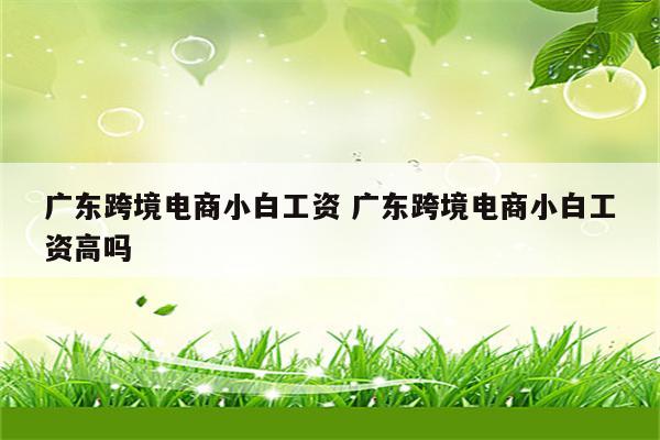 广东跨境电商小白工资 广东跨境电商小白工资高吗