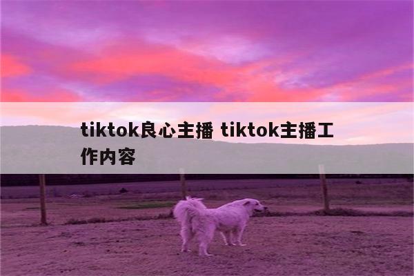 tiktok良心主播 tiktok主播工作内容