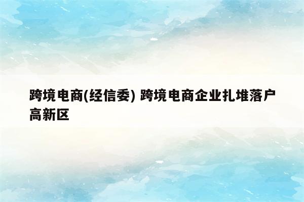 跨境电商(经信委) 跨境电商企业扎堆落户高新区