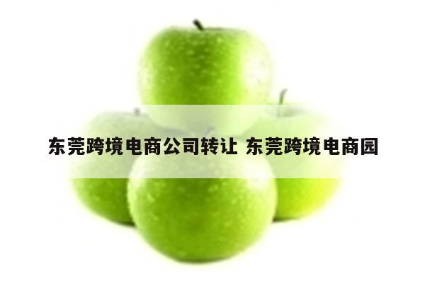 东莞跨境电商公司转让 东莞跨境电商园