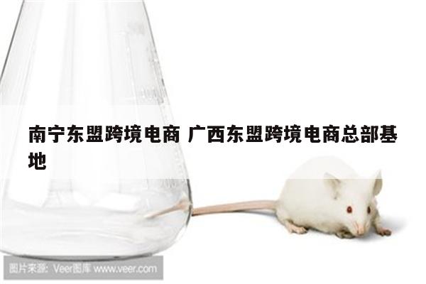 南宁东盟跨境电商 广西东盟跨境电商总部基地