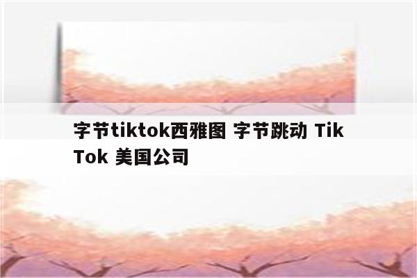 字节tiktok西雅图 字节跳动 TikTok 美国公司