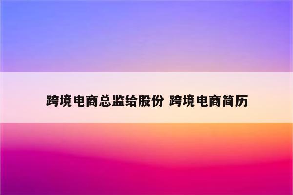 跨境电商总监给股份 跨境电商简历