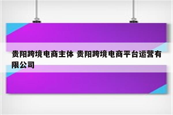 贵阳跨境电商主体 贵阳跨境电商平台运营有限公司
