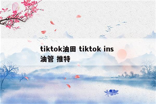 tiktok油田 tiktok ins 油管 推特