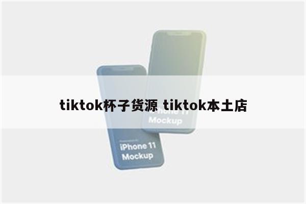 tiktok杯子货源 tiktok本土店
