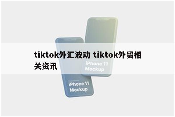 tiktok外汇波动 tiktok外贸相关资讯
