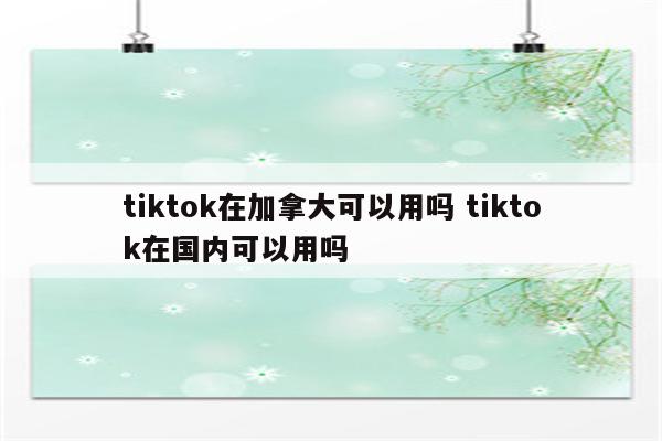 tiktok在加拿大可以用吗 tiktok在国内可以用吗