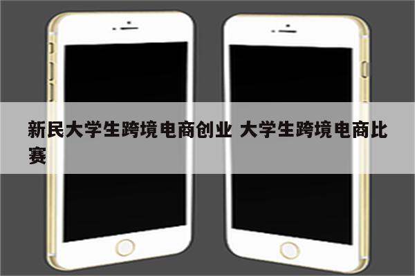 新民大学生跨境电商创业 大学生跨境电商比赛