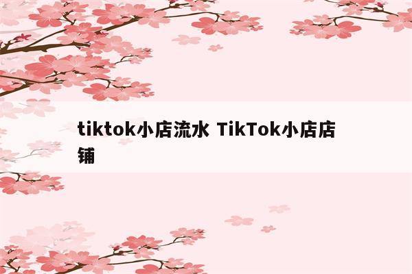 tiktok小店流水 TikTok小店店铺