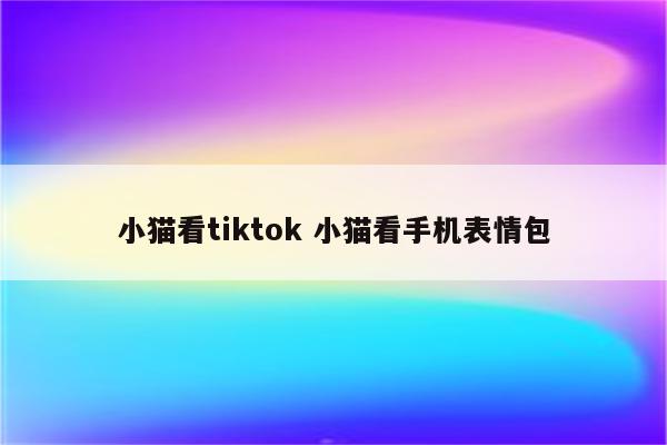小猫看tiktok 小猫看手机表情包
