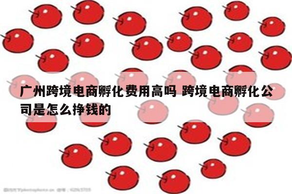 广州跨境电商孵化费用高吗 跨境电商孵化公司是怎么挣钱的
