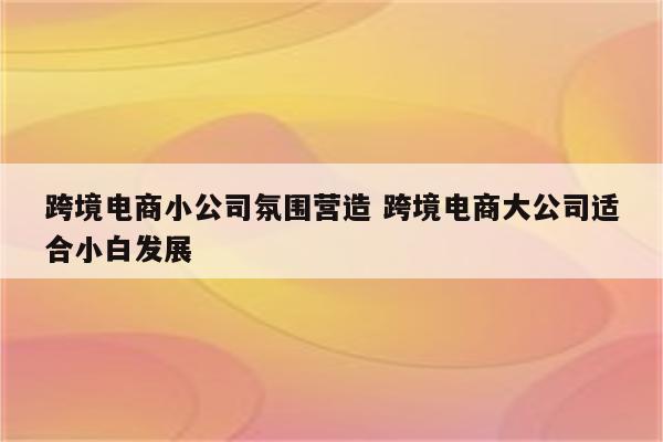 跨境电商小公司氛围营造 跨境电商大公司适合小白发展