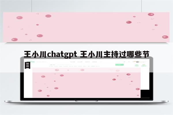 王小川chatgpt 王小川主持过哪些节目