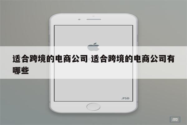 适合跨境的电商公司 适合跨境的电商公司有哪些