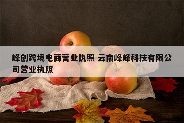 峰创跨境电商营业执照 云南峰峰科技有限公司营业执照