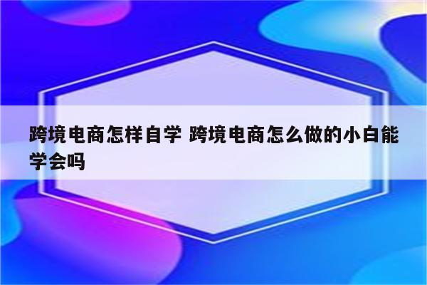 跨境电商怎样自学 跨境电商怎么做的小白能学会吗