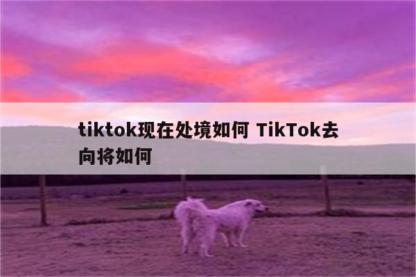 tiktok现在处境如何 TikTok去向将如何