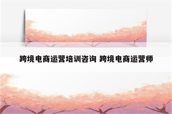跨境电商运营培训咨询 跨境电商运营师