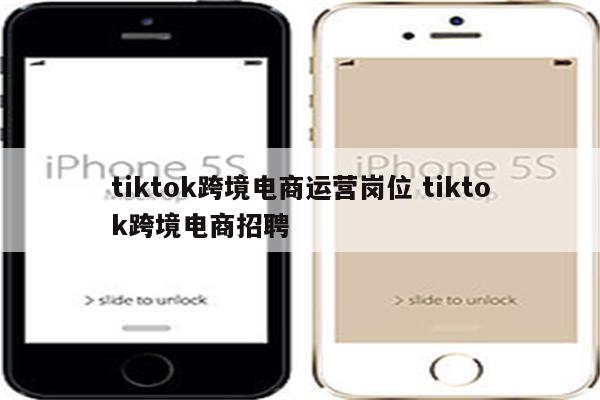 tiktok跨境电商运营岗位 tiktok跨境电商招聘