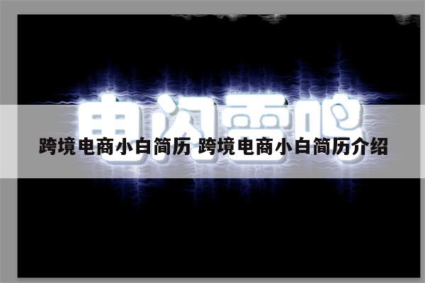 跨境电商小白简历 跨境电商小白简历介绍