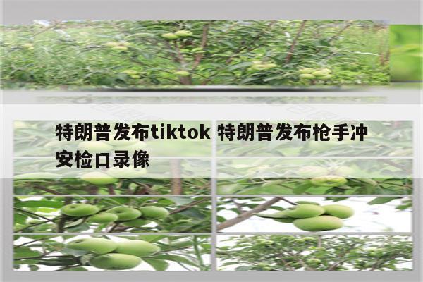 特朗普发布tiktok 特朗普发布枪手冲安检口录像
