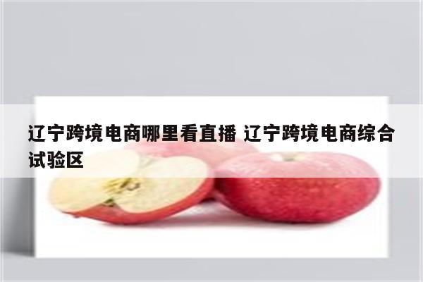 辽宁跨境电商哪里看直播 辽宁跨境电商综合试验区