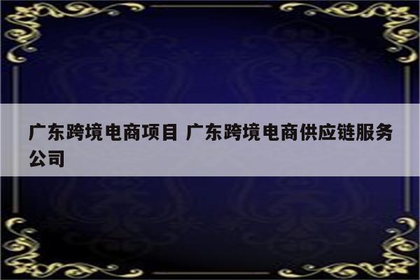 广东跨境电商项目 广东跨境电商供应链服务公司