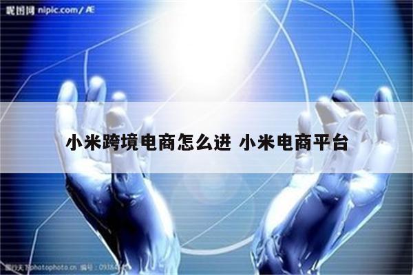小米跨境电商怎么进 小米电商平台