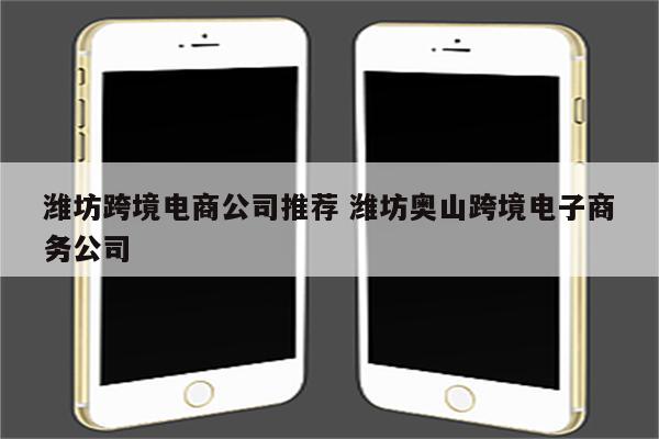 潍坊跨境电商公司推荐 潍坊奥山跨境电子商务公司
