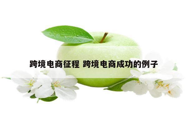 跨境电商征程 跨境电商成功的例子
