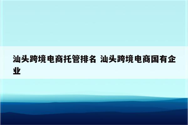 汕头跨境电商托管排名 汕头跨境电商国有企业