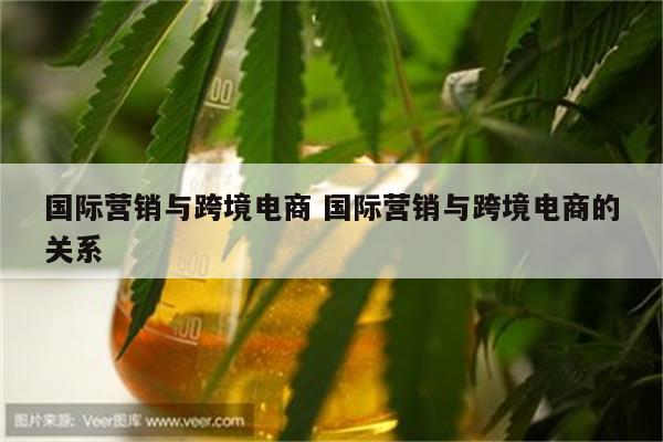 国际营销与跨境电商 国际营销与跨境电商的关系